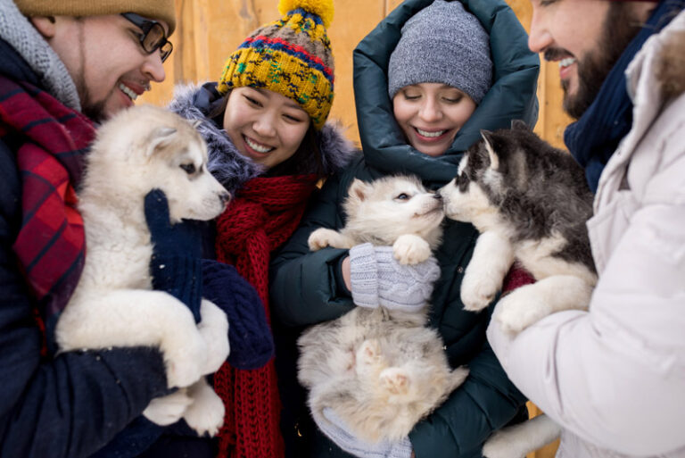 Friends Playing with Cute Puppies