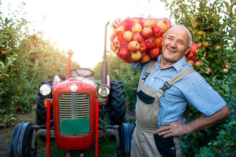 Portrait of farm worker holding sack full of apple fruit.